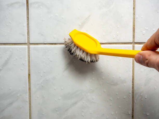 Best Local Mold Removal Service  in New Johnsonville, TN