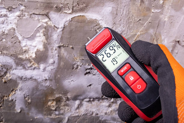Best Best Mold Removal Companies  in New Johnsonville, TN