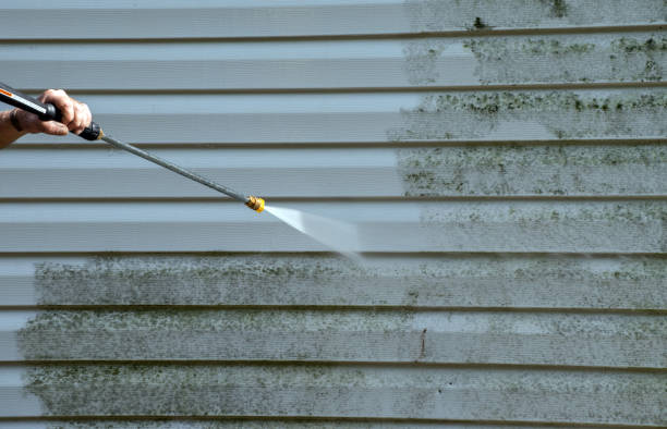 Attic Mold Removal in New Johnsonville, TN