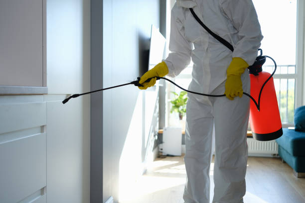 Crawl Space Mold Removal in New Johnsonville, TN