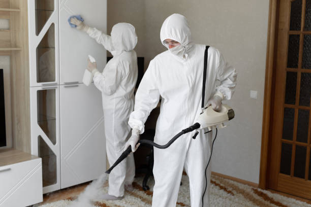 Best Mold Removal and Inspection  in New Johnsonville, TN